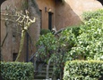 Rome holiday apartment Colosseo area | Photo of the apartment Garden.